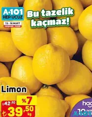 LİMON KG